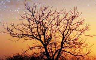 DeFi Token Performance & Investor Trends Post-October Crash: What They're NOT Telling You About the Numbers